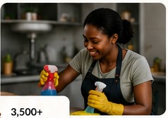 Cleaning professional